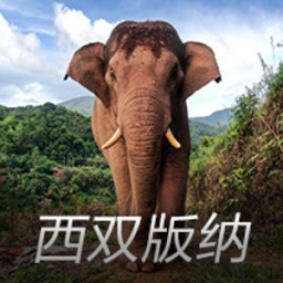 《混沌少年时》：Z时代的青春残酷物语